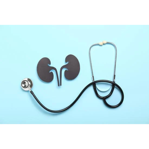 Check-up renal